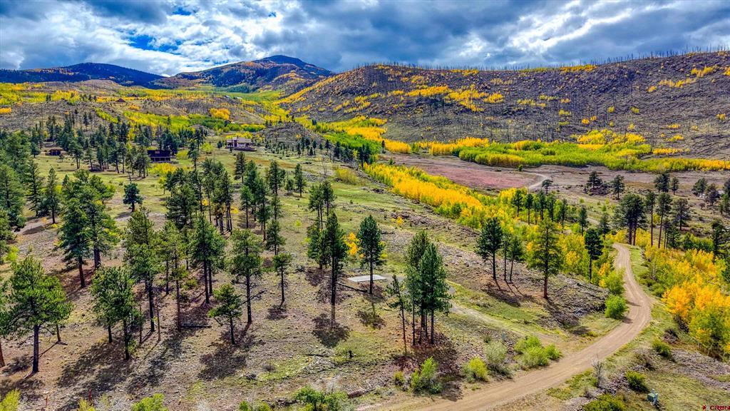 Aerial view of pine-dotted land and a winding dirt road, with golden aspens and mountains beyond.