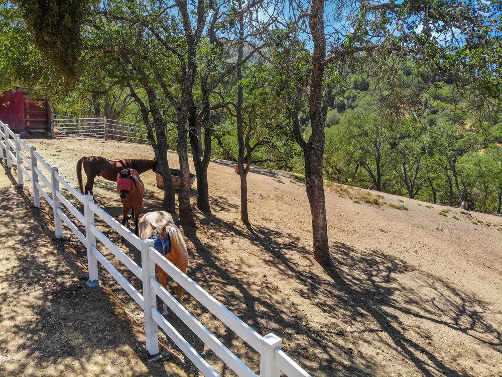 17465 Chesbro Lake DR