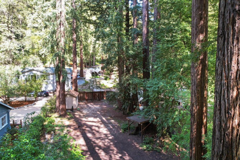 241 Redwood WAY