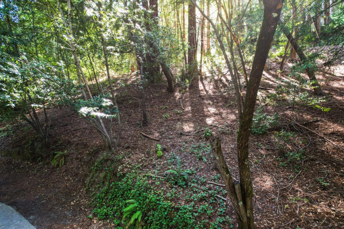 10575 E Zayante RD
