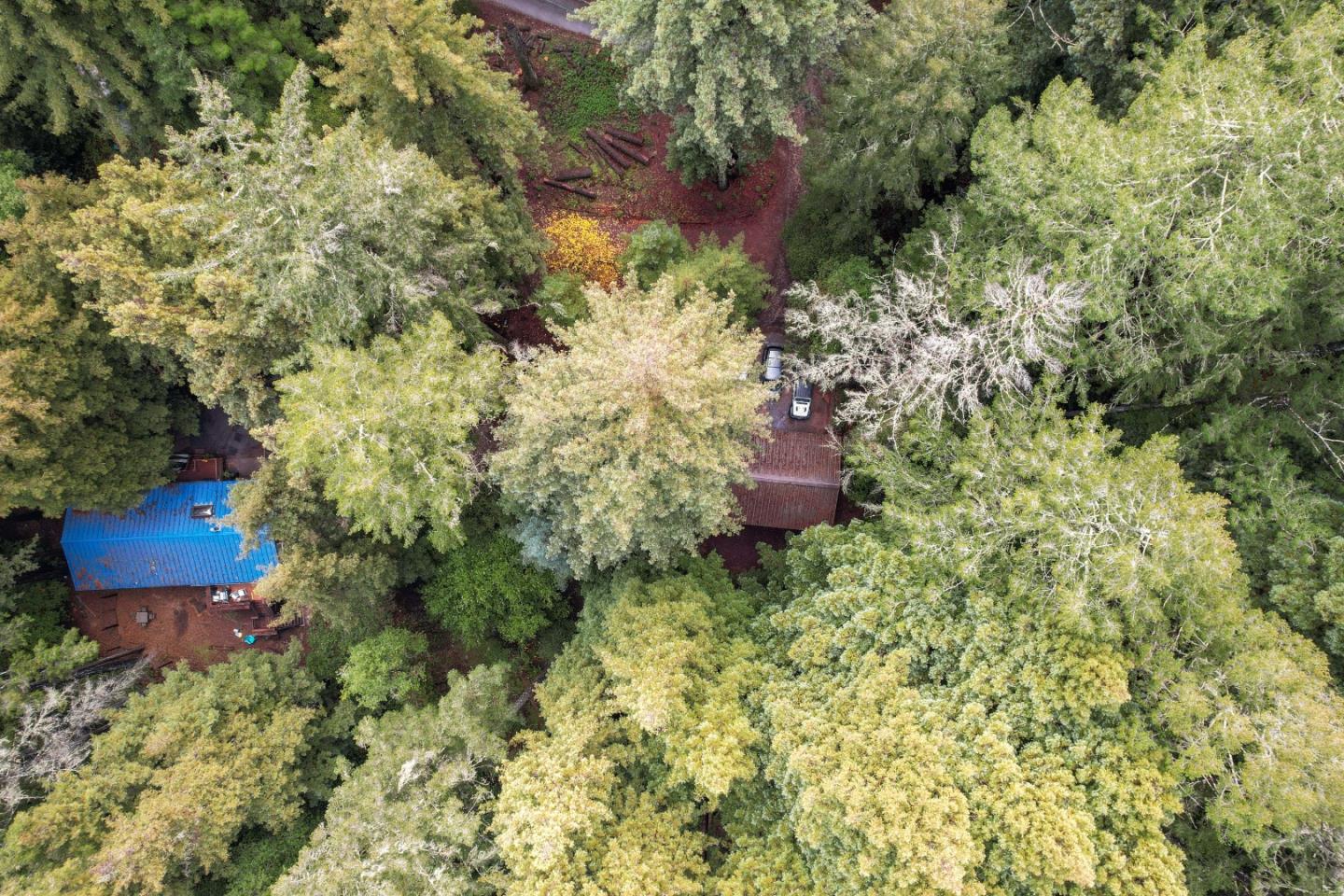 1634 Creek DR