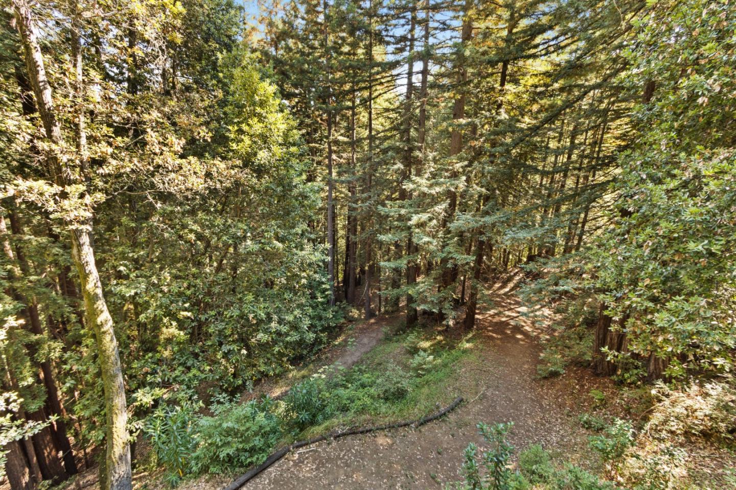 680 Dove LN