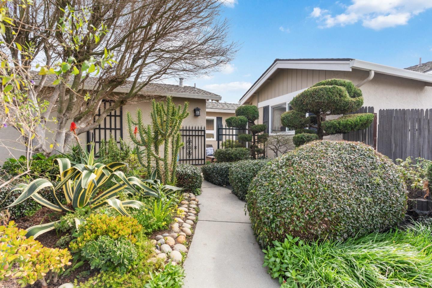499 Cloudview DR