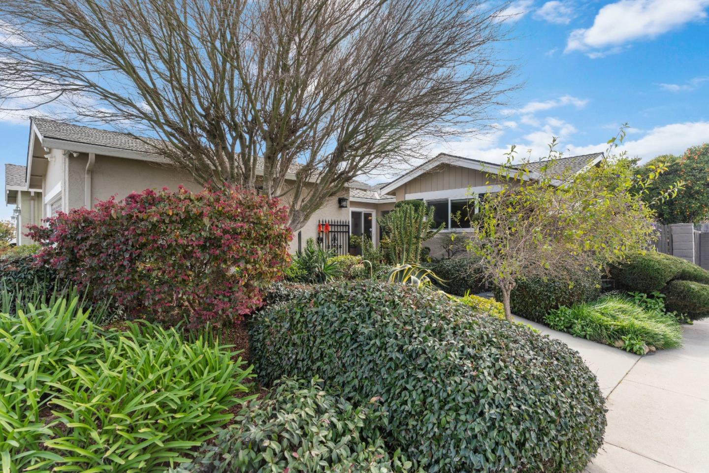 499 Cloudview DR