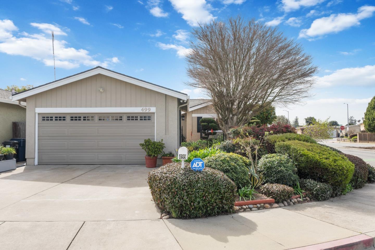 499 Cloudview DR