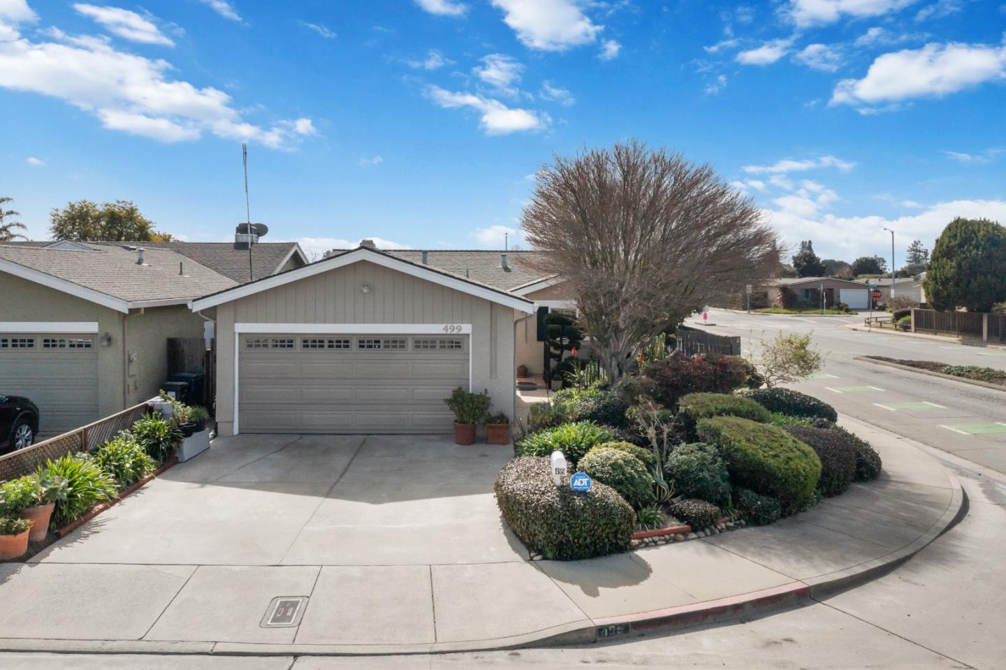 499 Cloudview DR