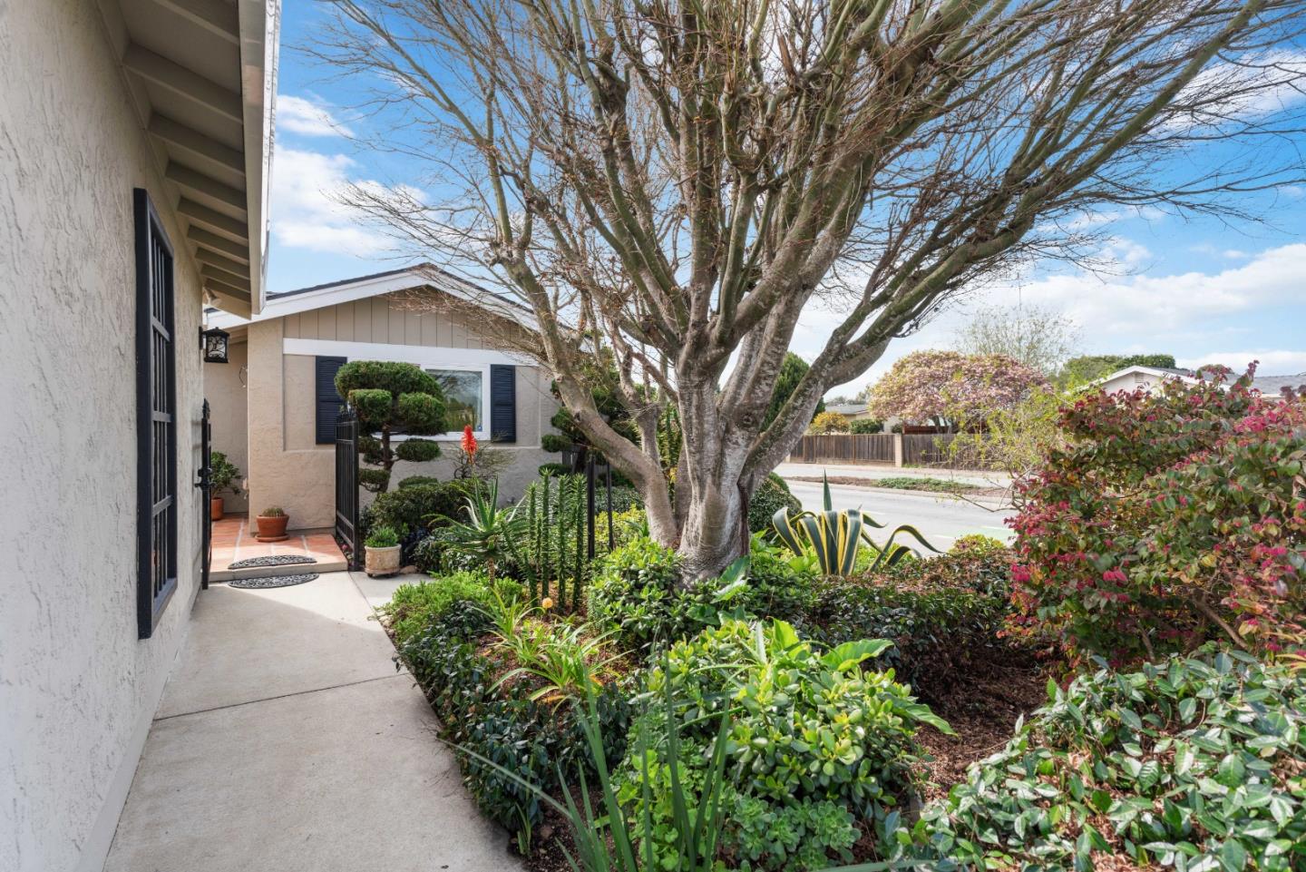 499 Cloudview DR