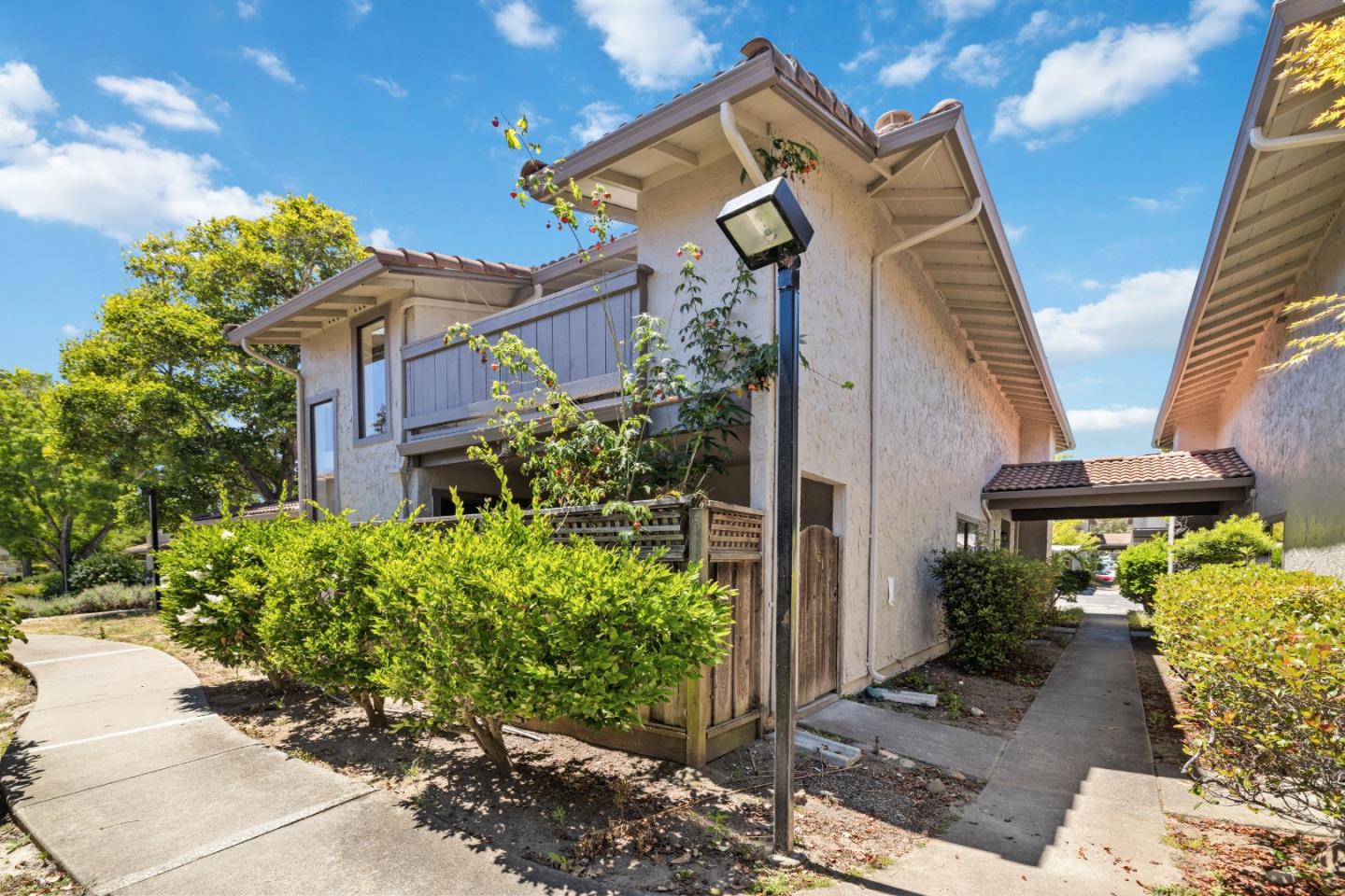 161 Torrey Pine TER