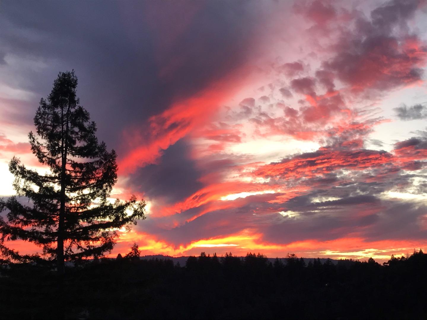 24475 Mountain Charlie RD