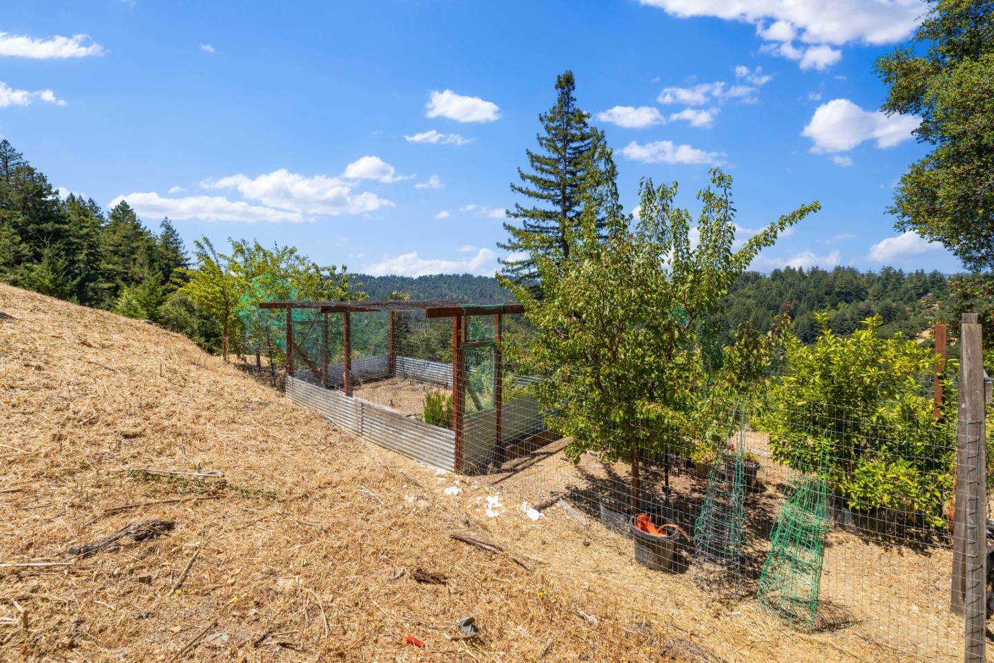 24475 Mountain Charlie RD