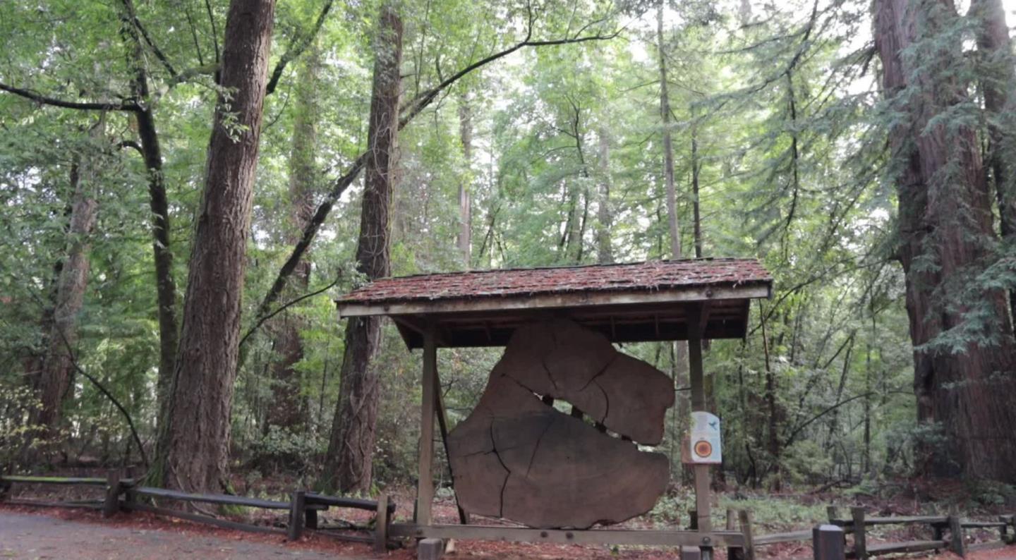 844 Trinkling Creek DR