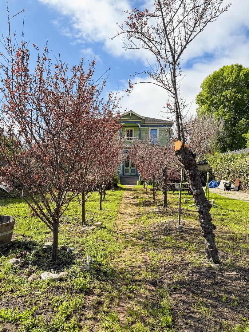 233 Van Ness Avenue