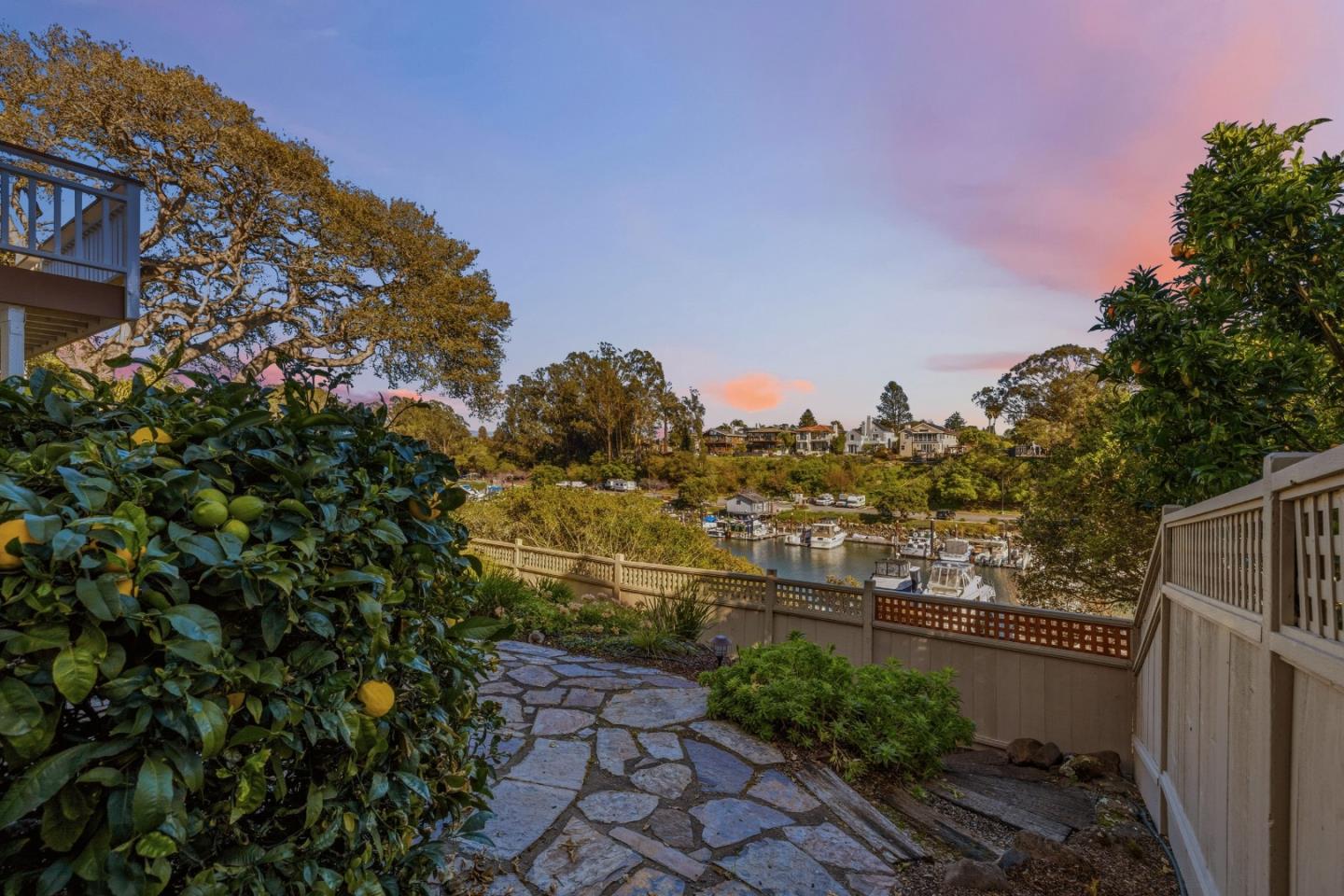 126 Frederick Street 20