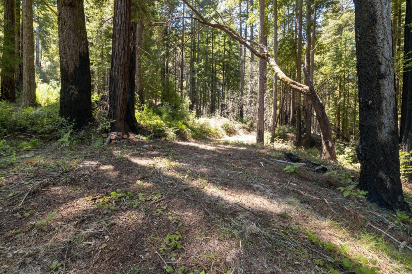 Lot 17 Branson Ranch