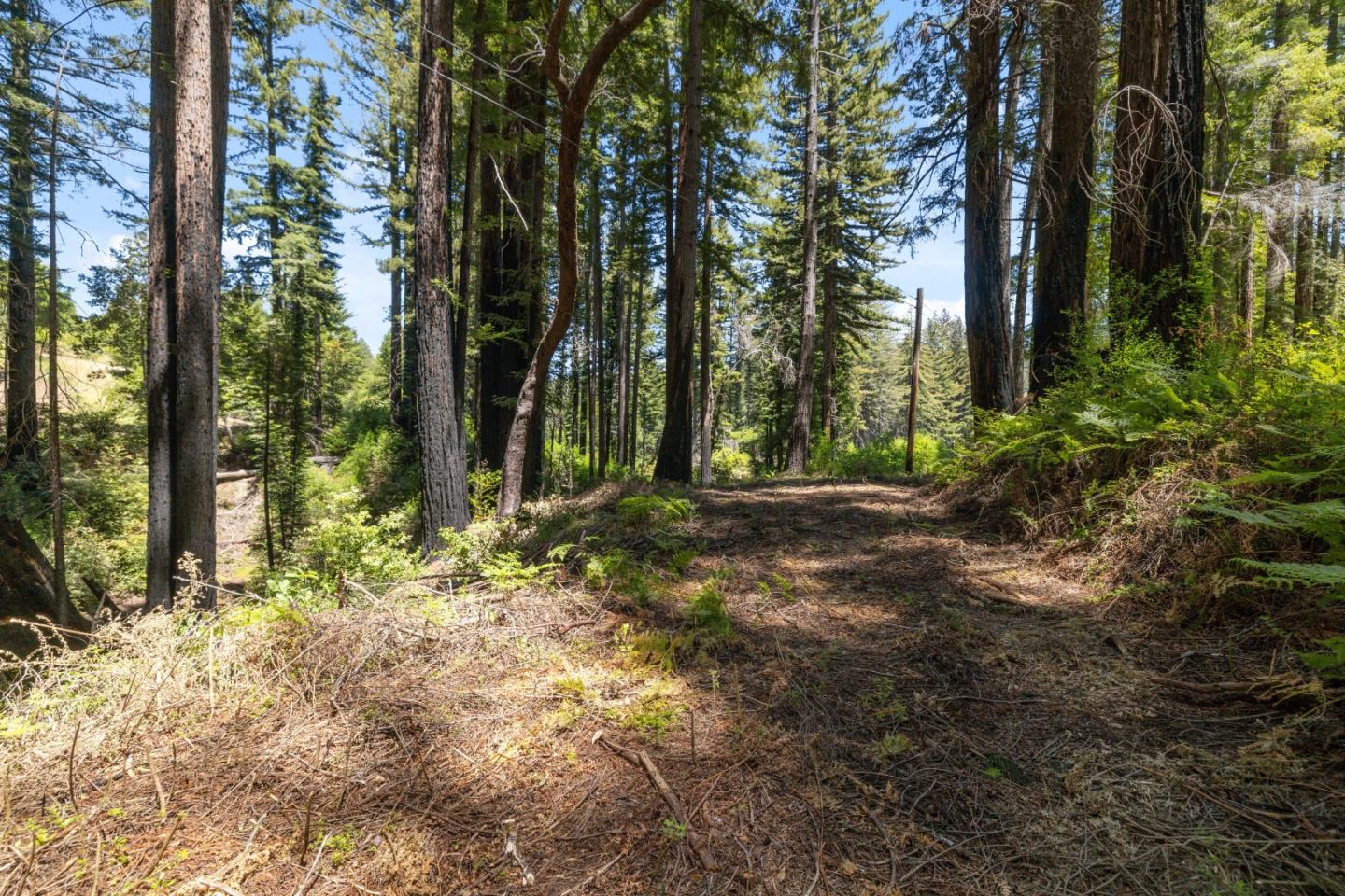 Lot 17 Branson Ranch