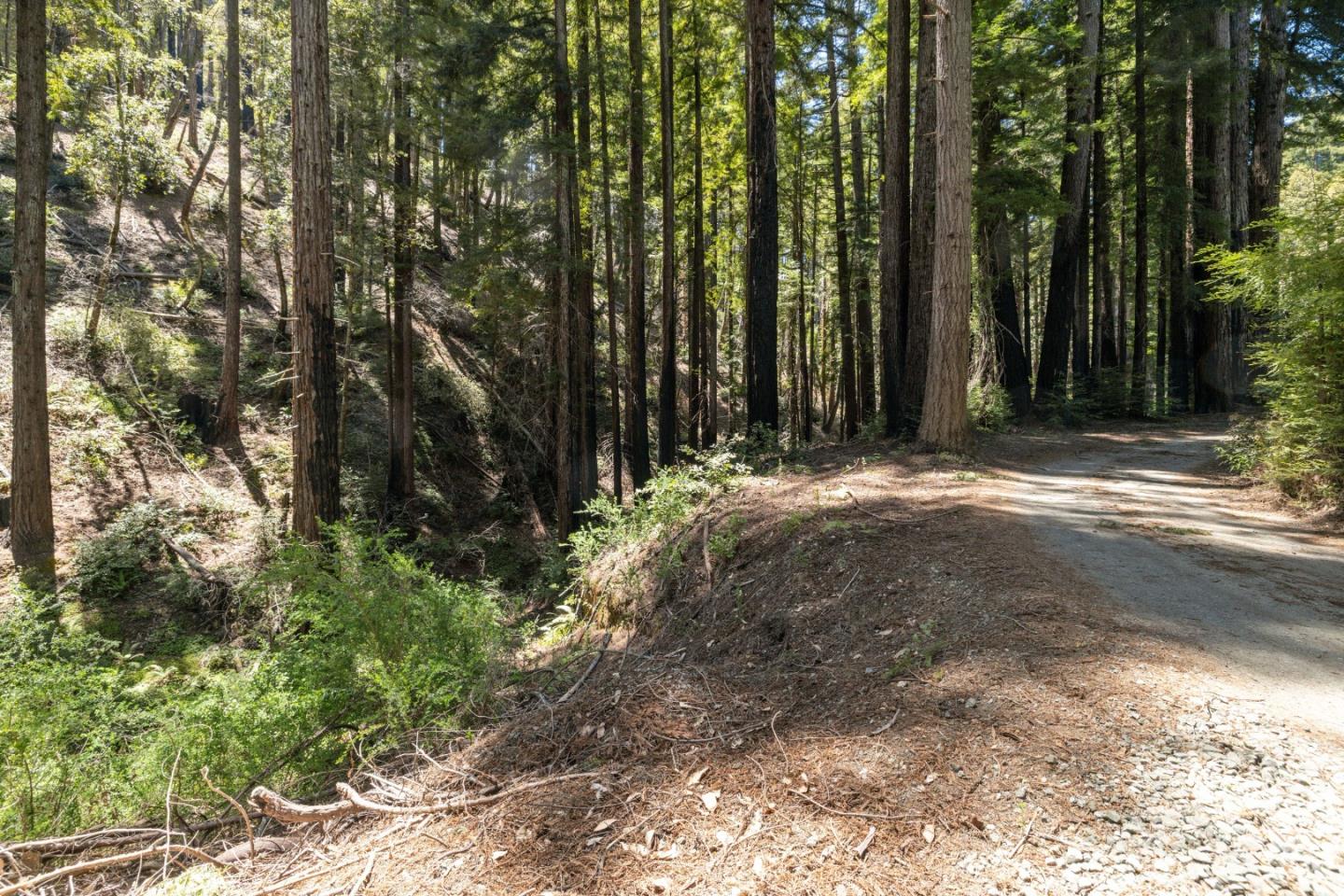Lot 17 Branson Ranch