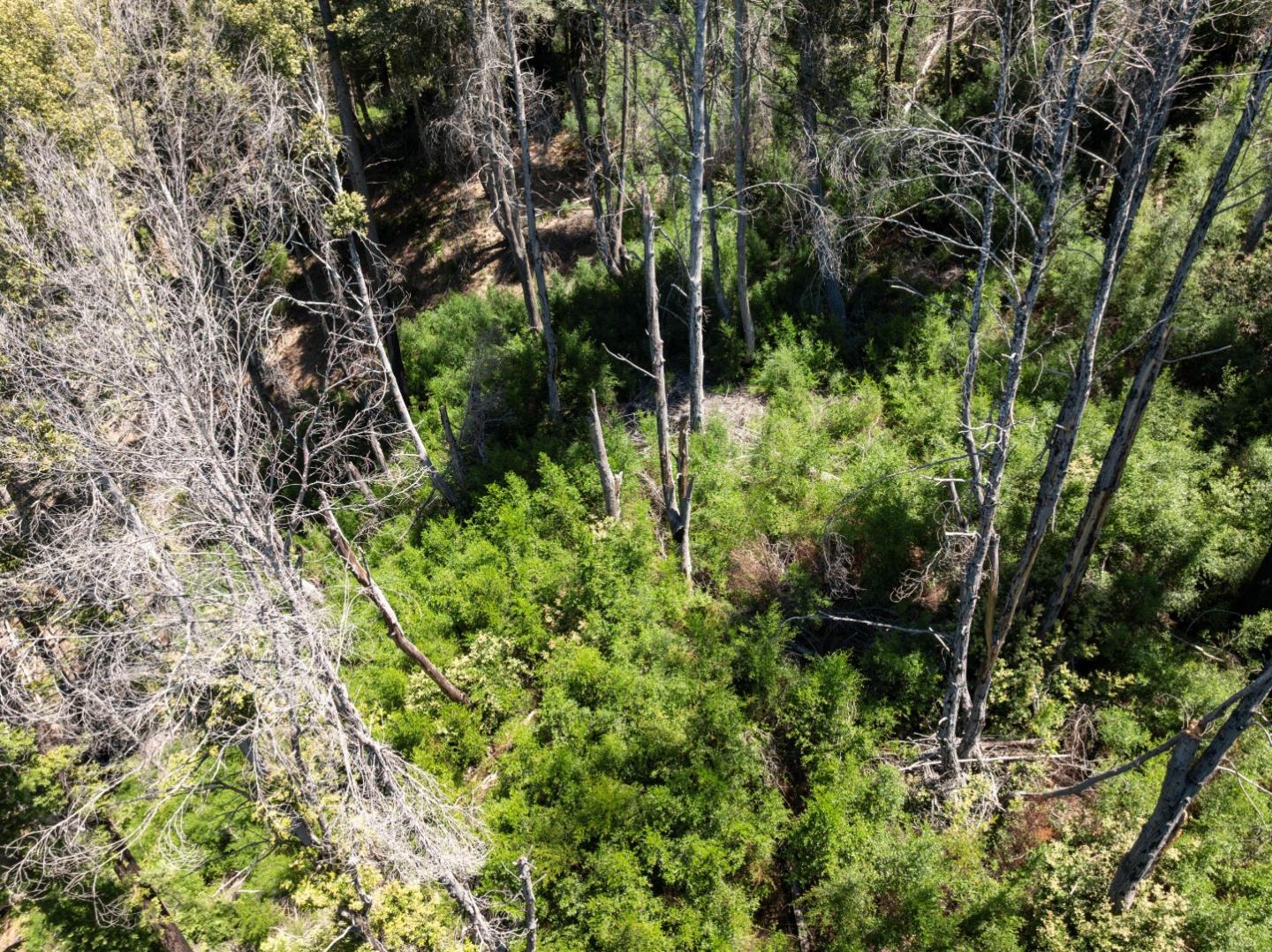 Lot 17 Branson Ranch