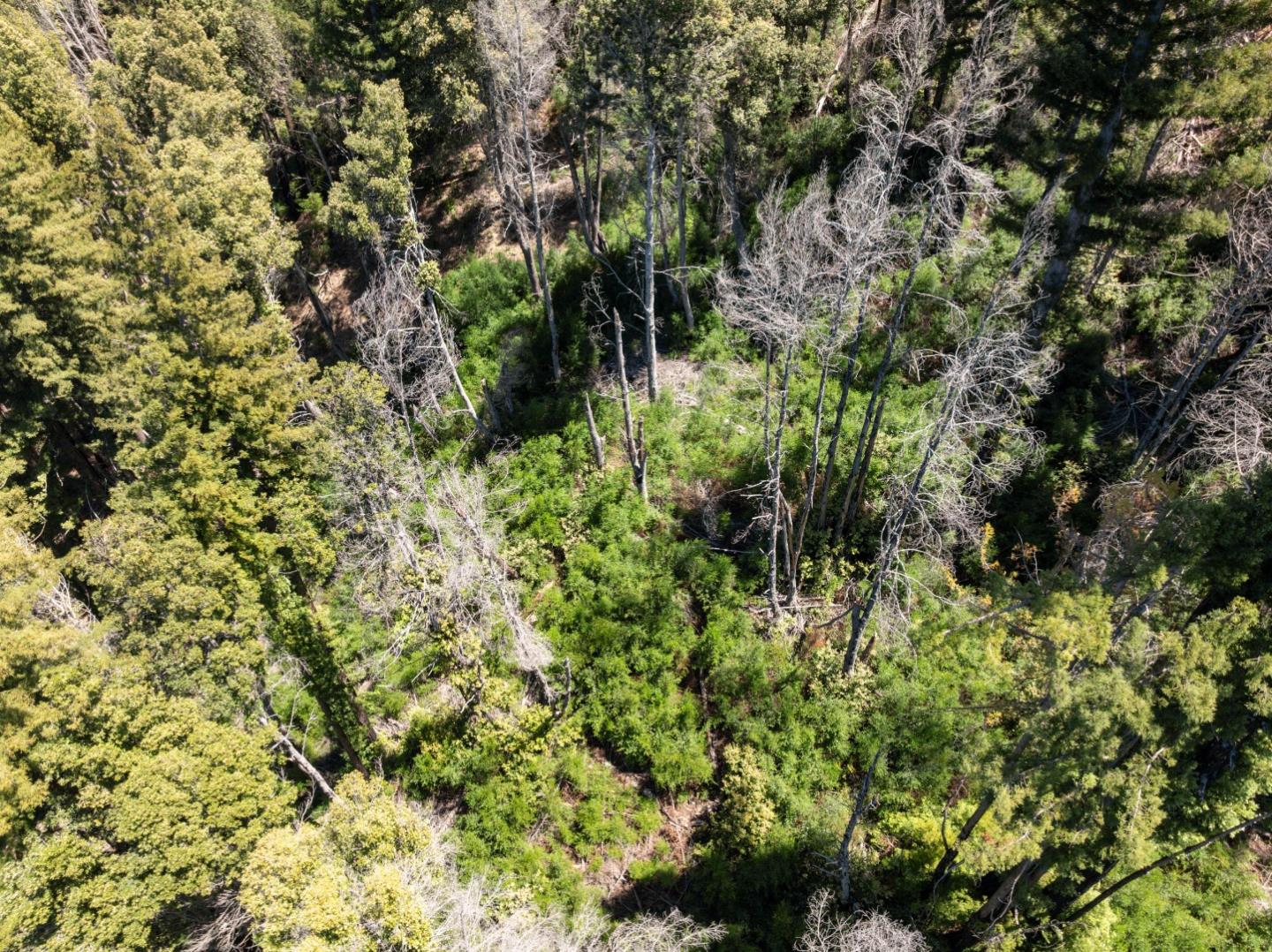 Lot 17 Branson Ranch