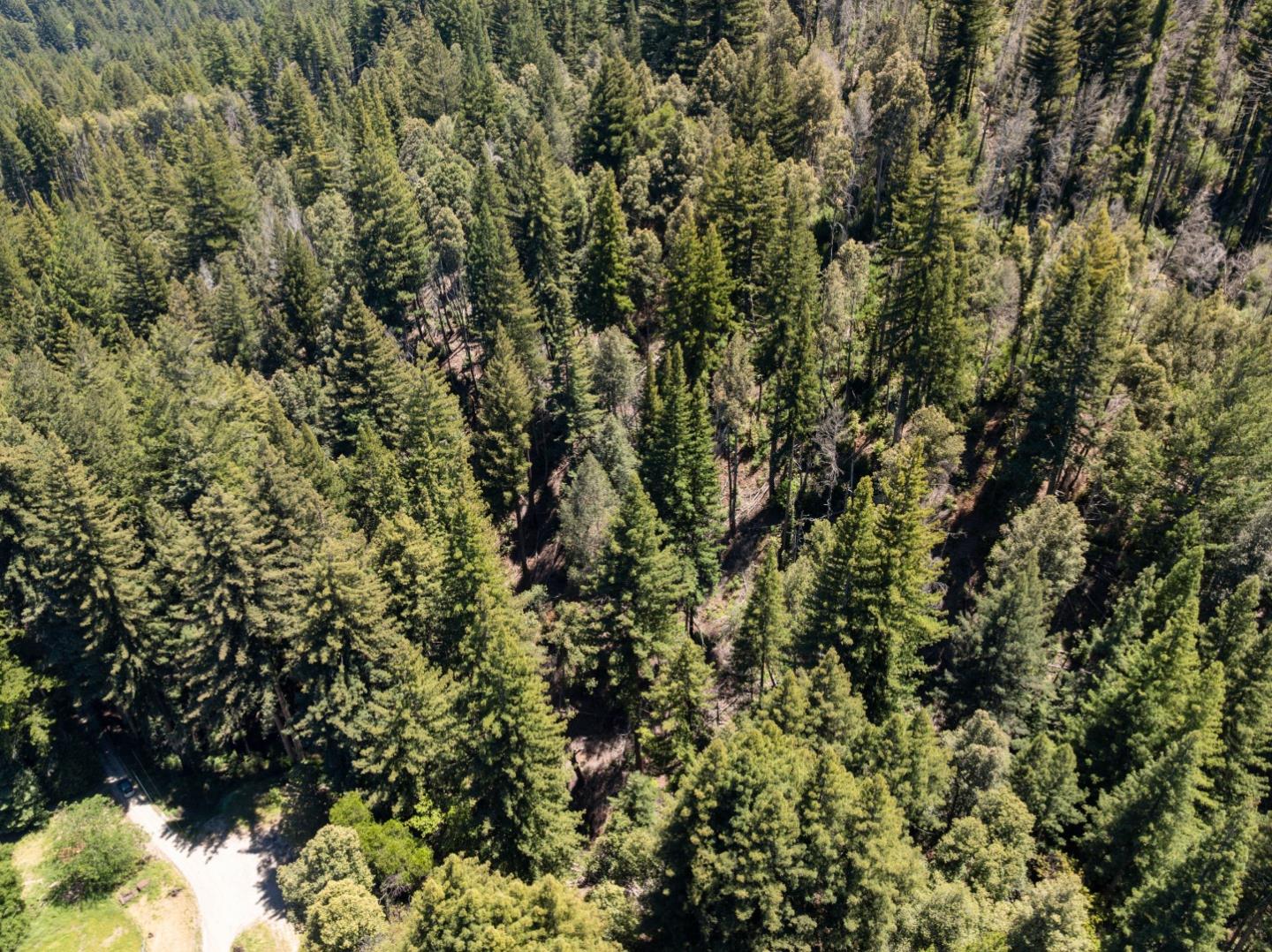 Lot 17 Branson Ranch