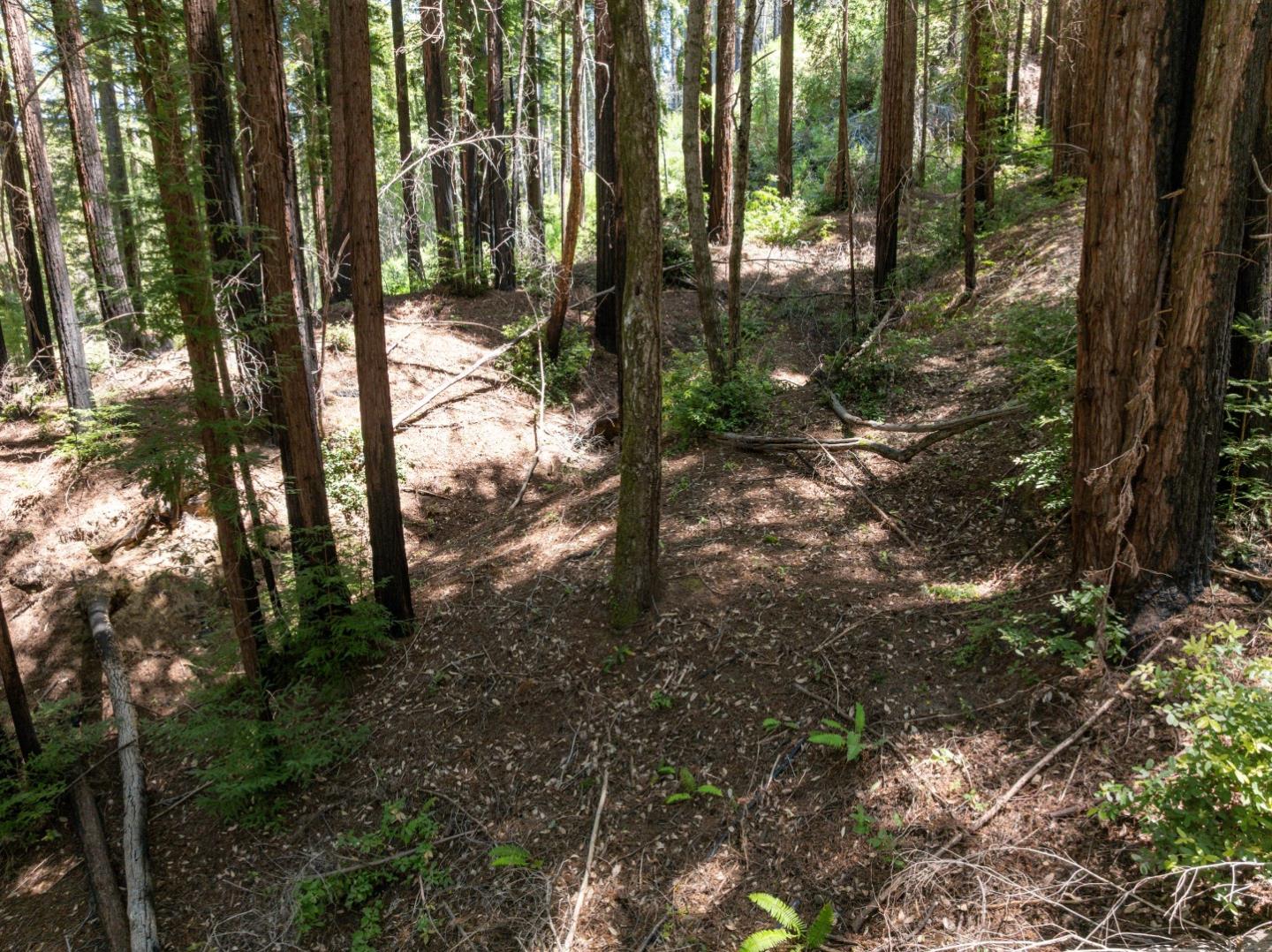 Lot 17 Branson Ranch