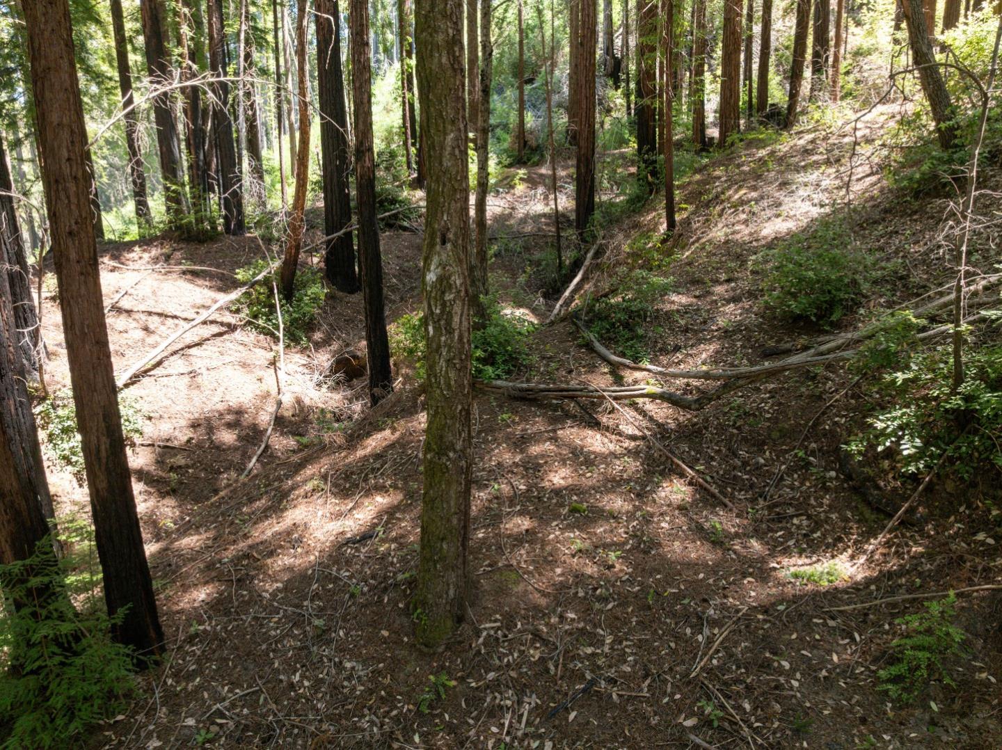 Lot 17 Branson Ranch