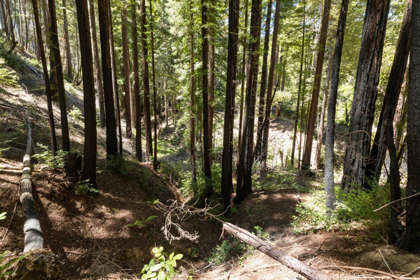 Lot 17 Branson Ranch