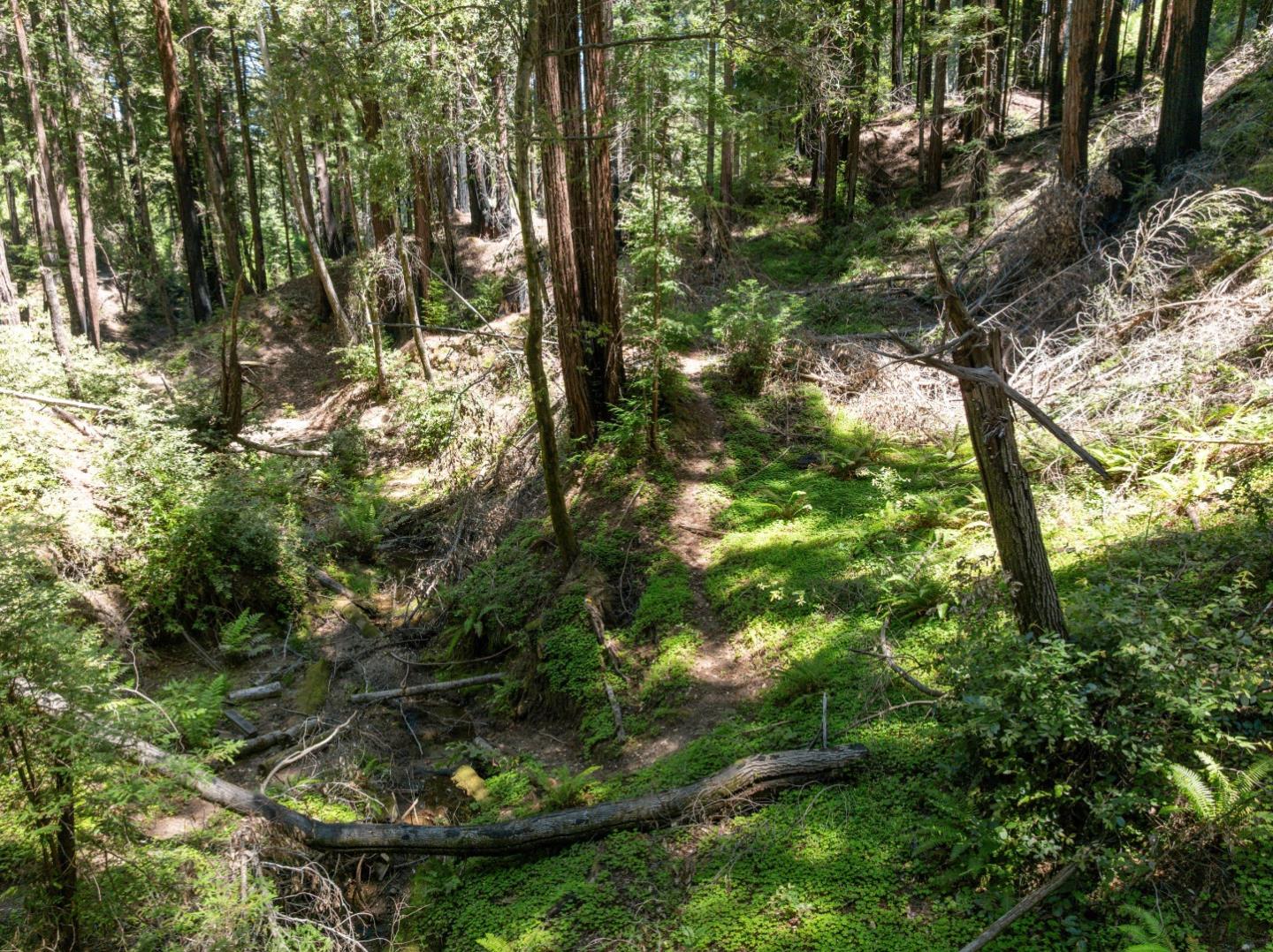 Lot 17 Branson Ranch