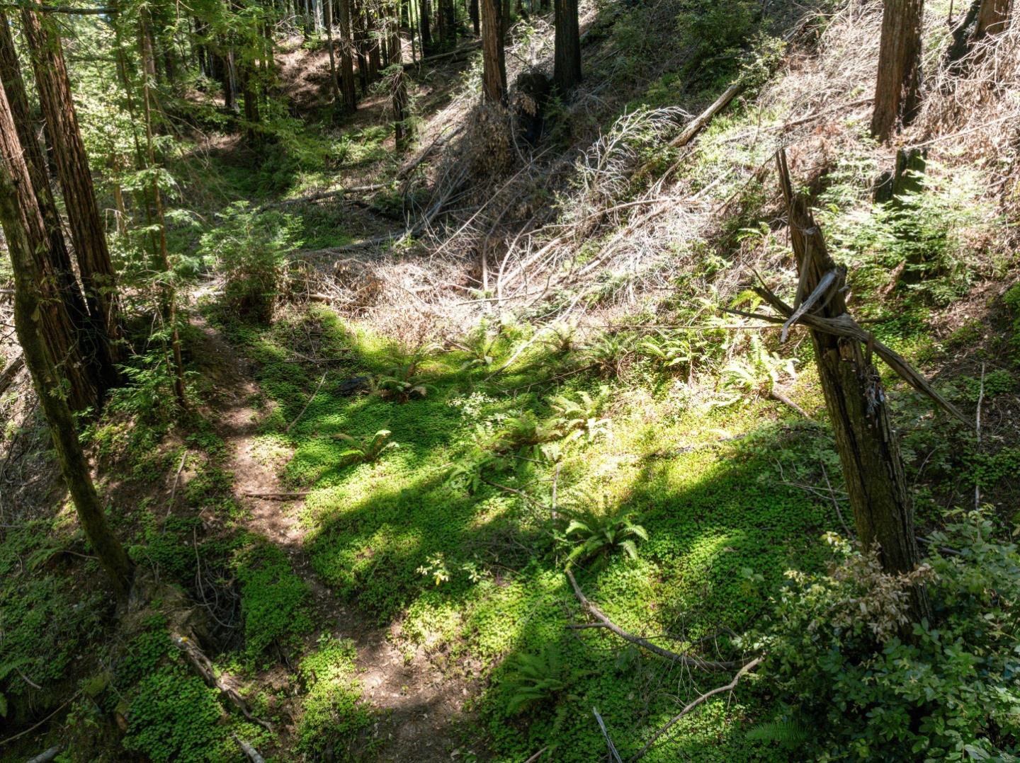 Lot 17 Branson Ranch