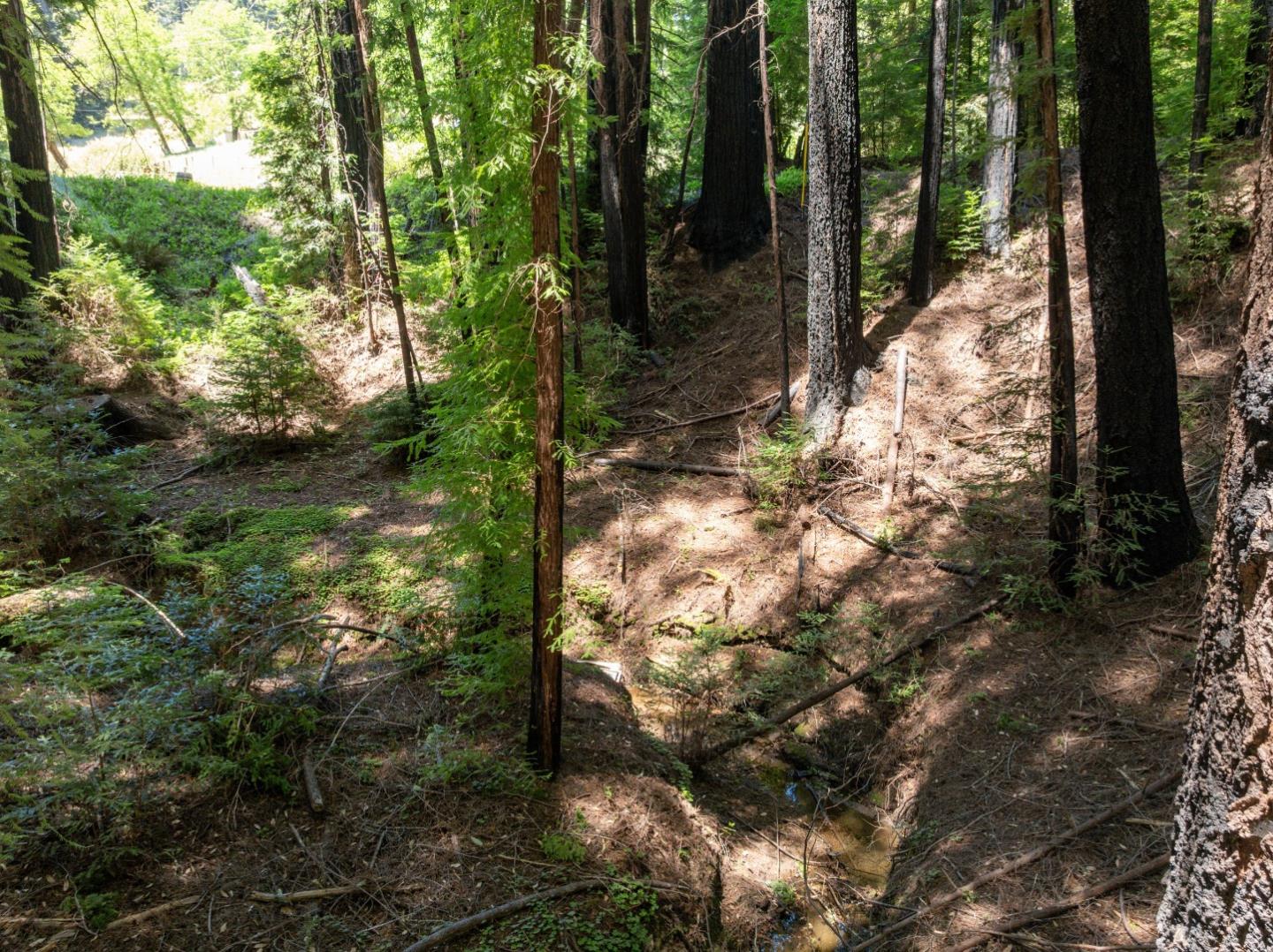 Lot 17 Branson Ranch