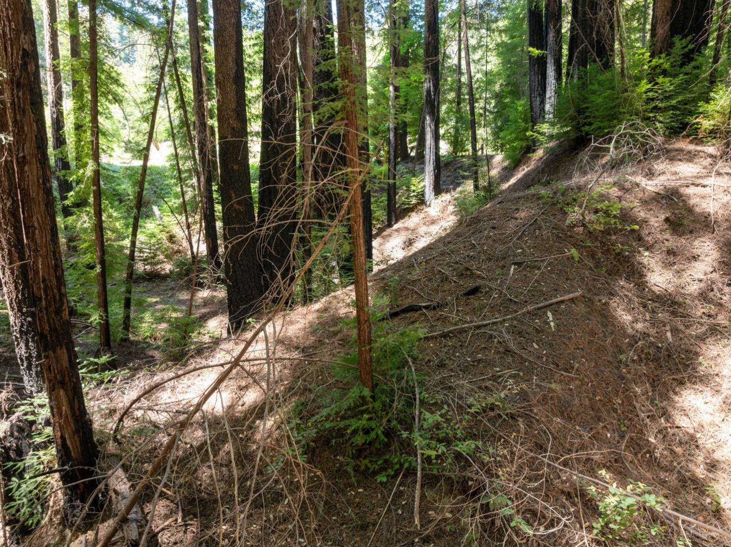 Lot 17 Branson Ranch