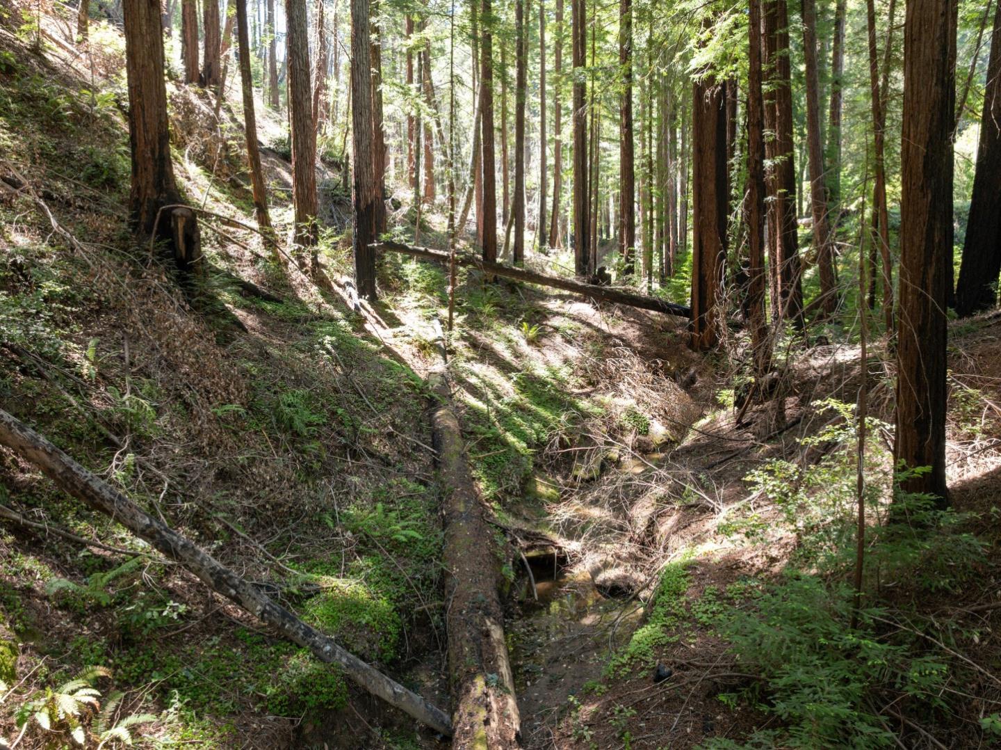 Lot 17 Branson Ranch