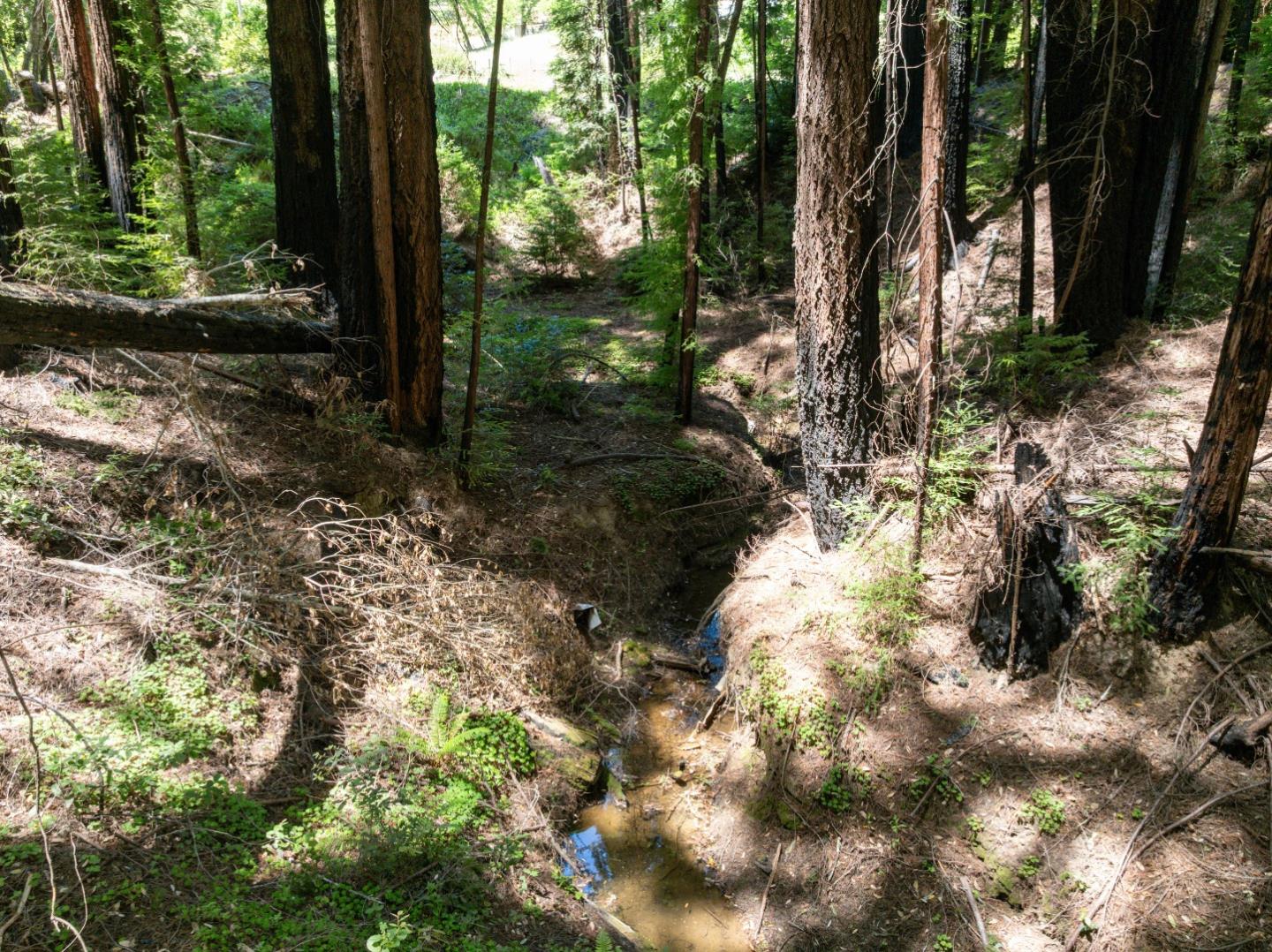 Lot 17 Branson Ranch