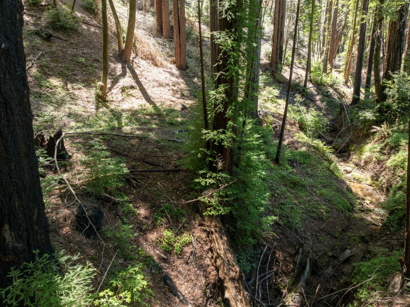 Lot 17 Branson Ranch
