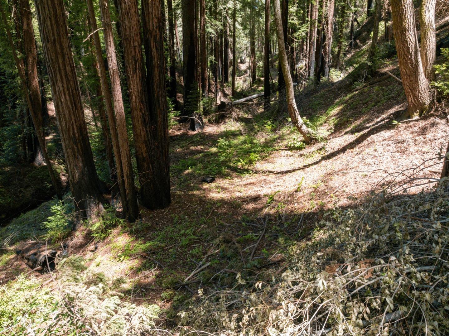 Lot 17 Branson Ranch