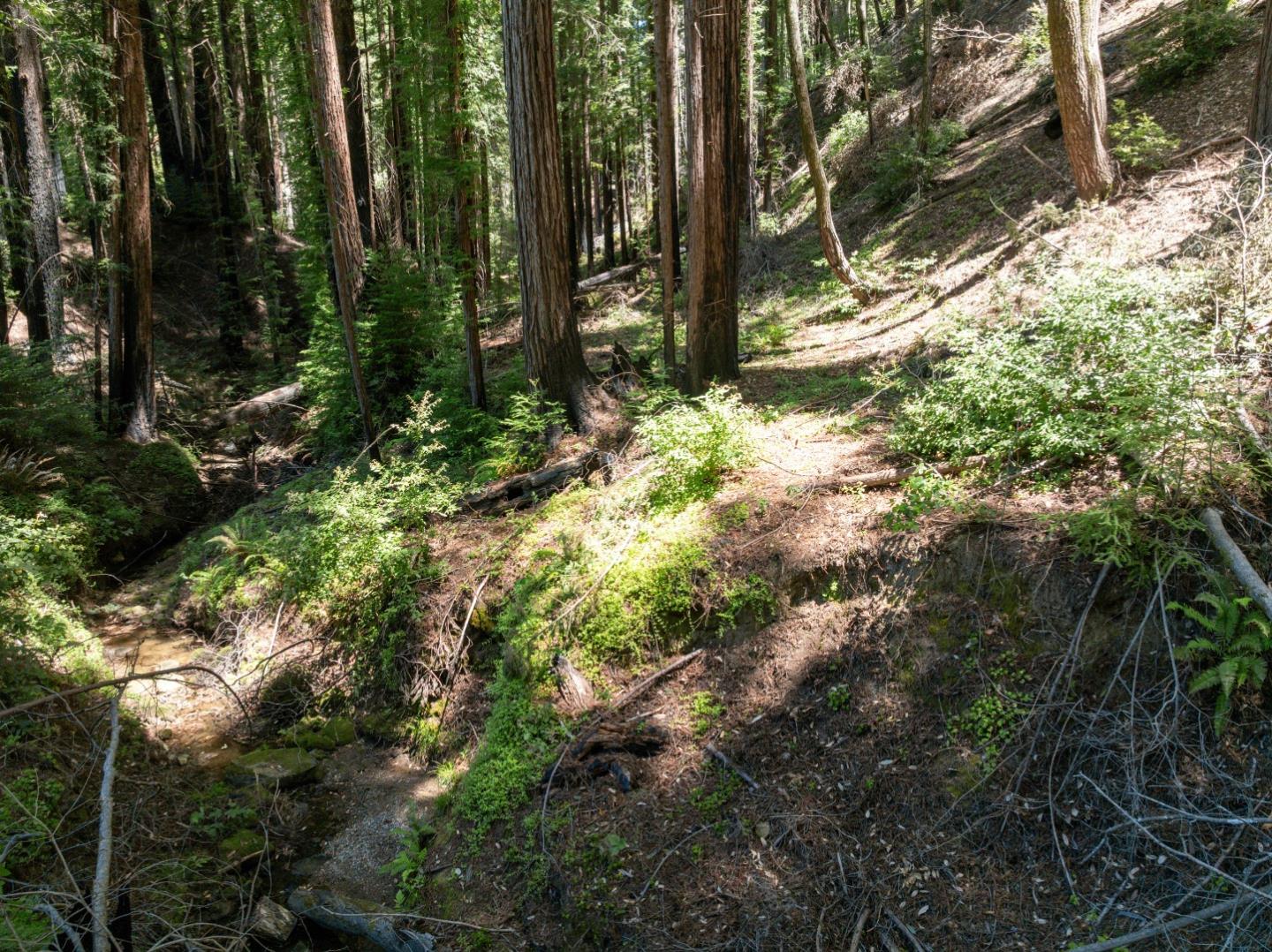 Lot 17 Branson Ranch