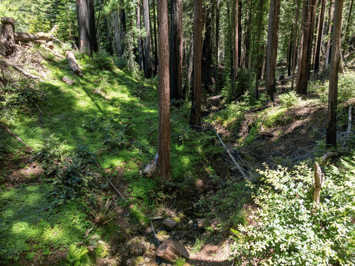 Lot 17 Branson Ranch
