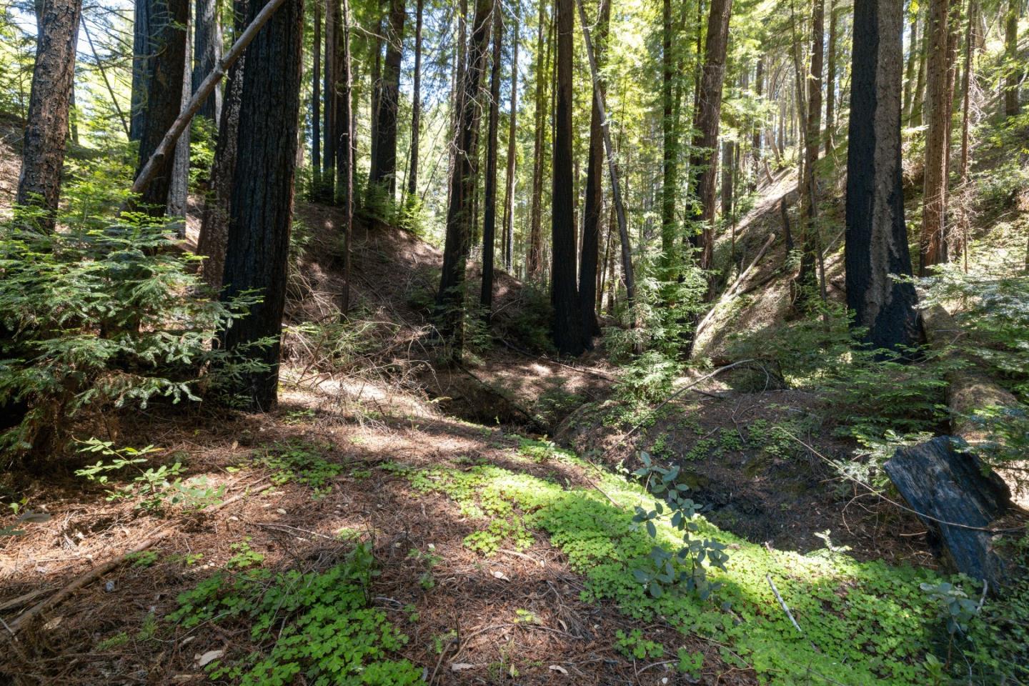Lot 17 Branson Ranch