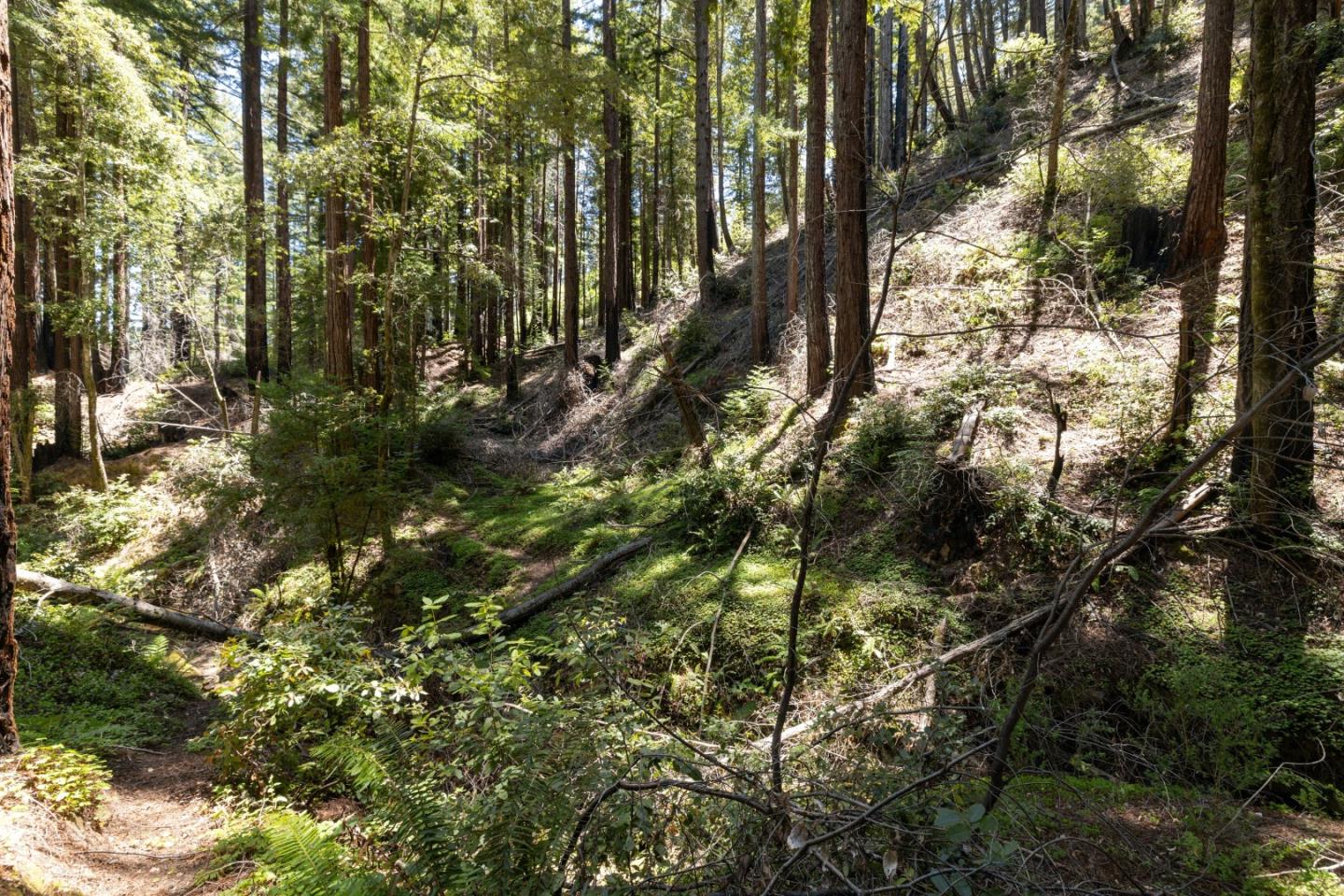 Lot 17 Branson Ranch