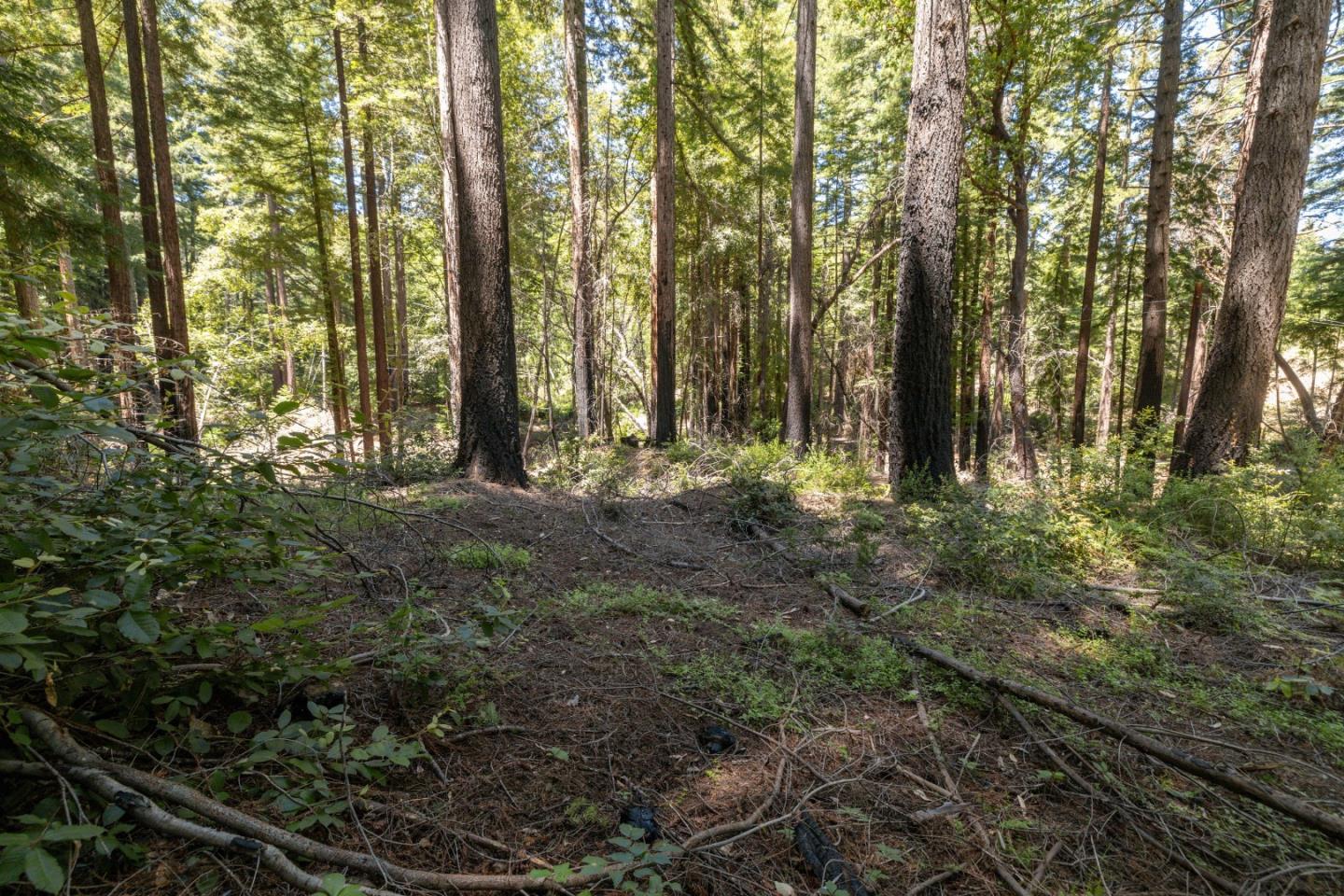 Lot 17 Branson Ranch