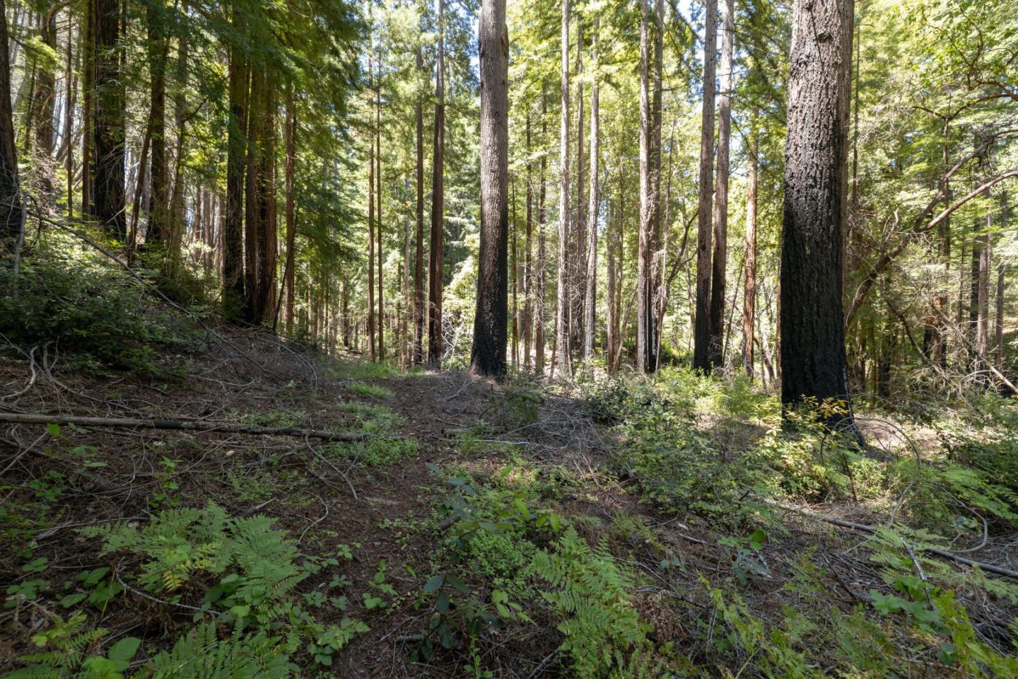 Lot 17 Branson Ranch