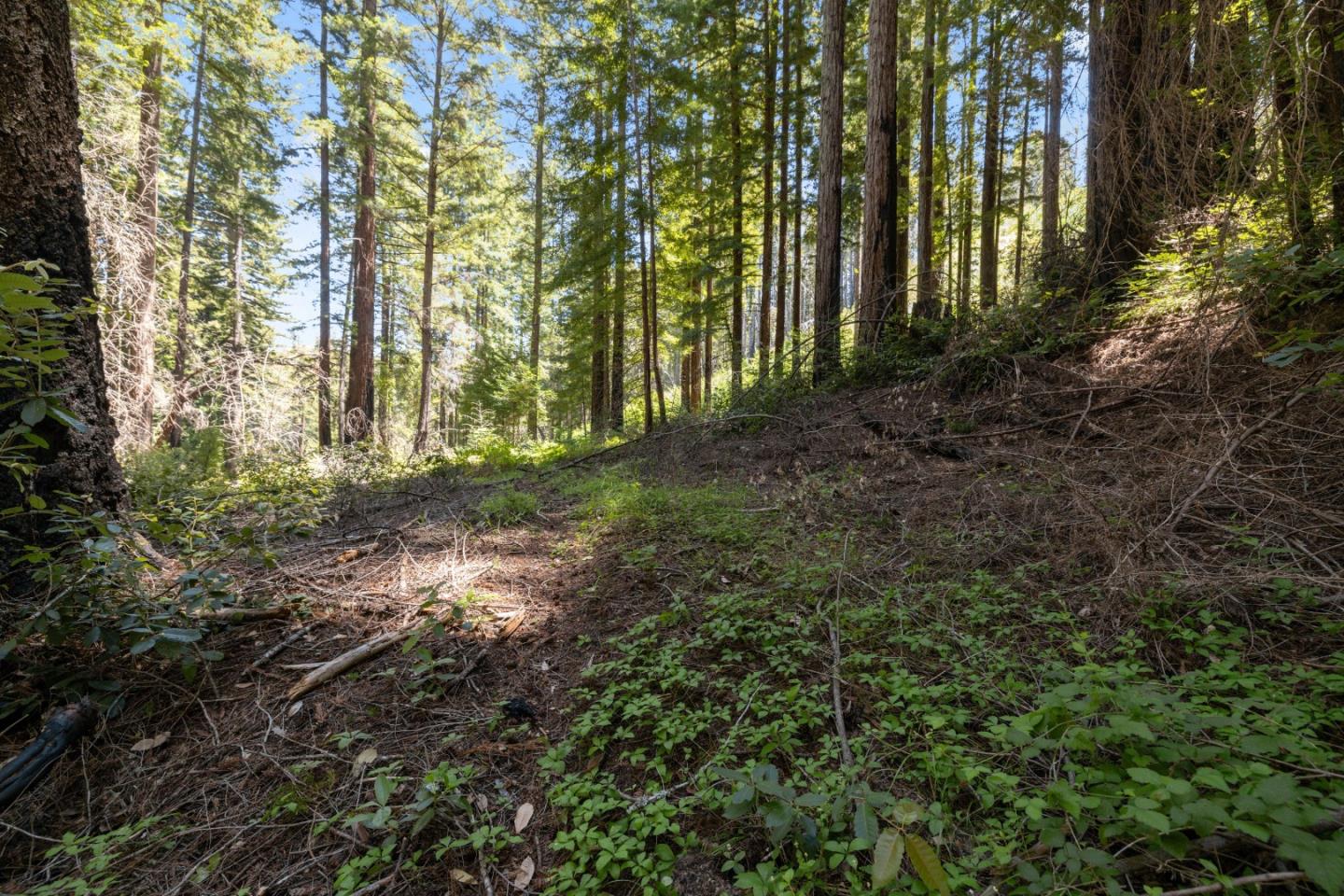 Lot 17 Branson Ranch