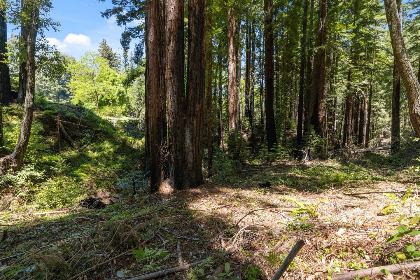 Lot 17 Branson Ranch