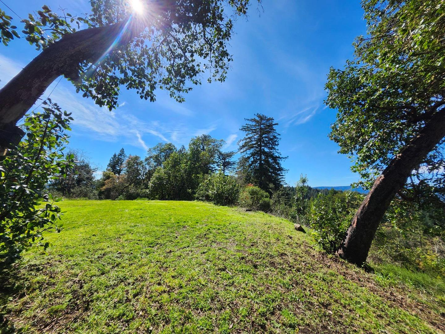 Grassy clearing framed by mature trees, with forested hills in the distance.