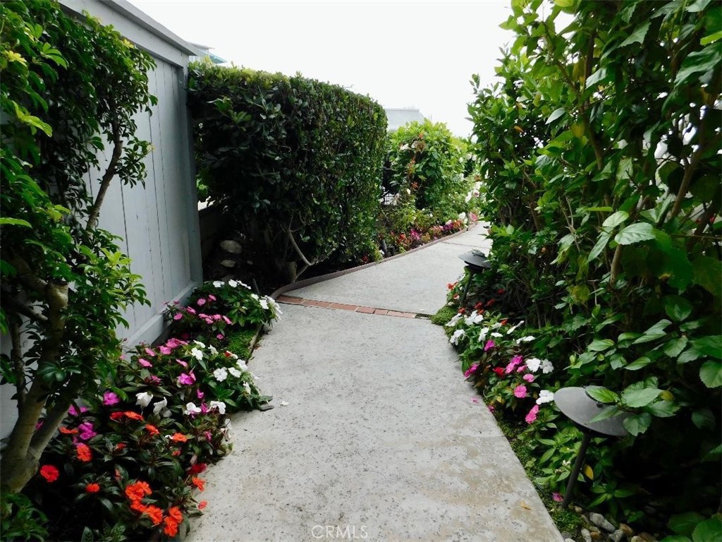 814 Cliff Drive