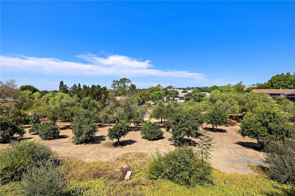 647 tumble creek Lane