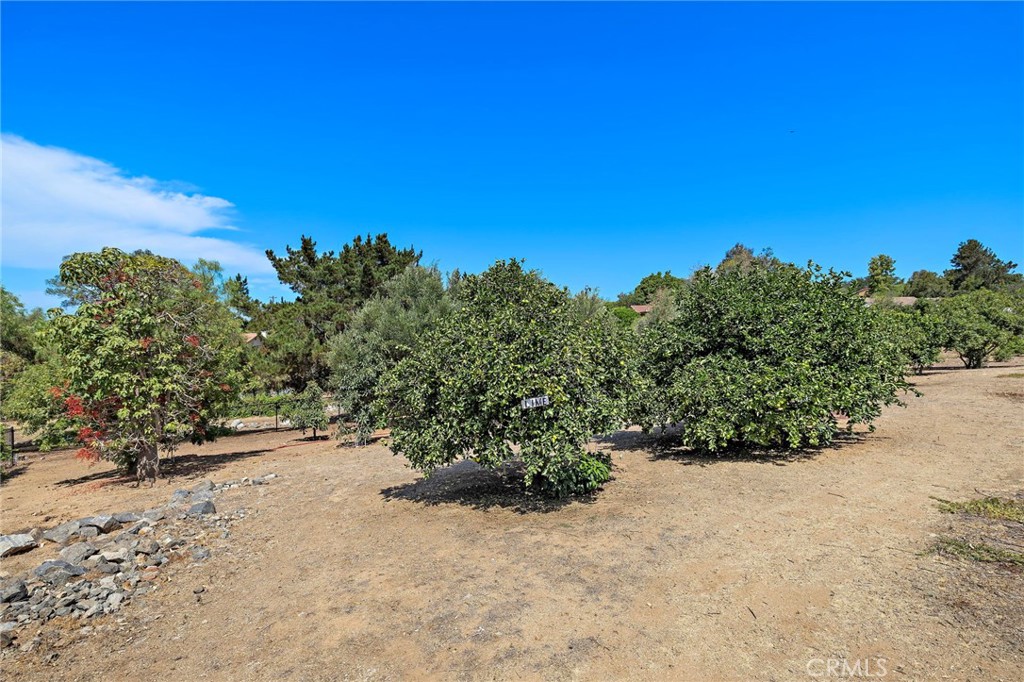 647 tumble creek Lane