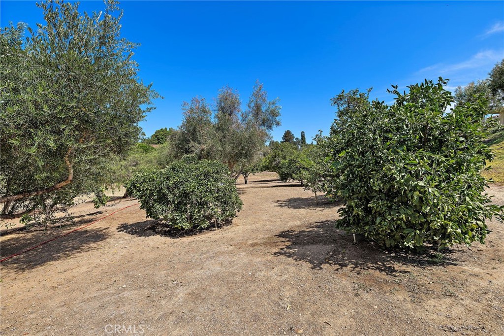 647 tumble creek Lane