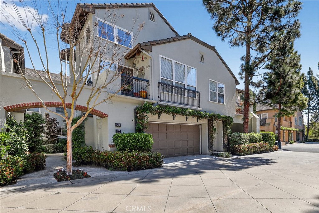 25 Anjou