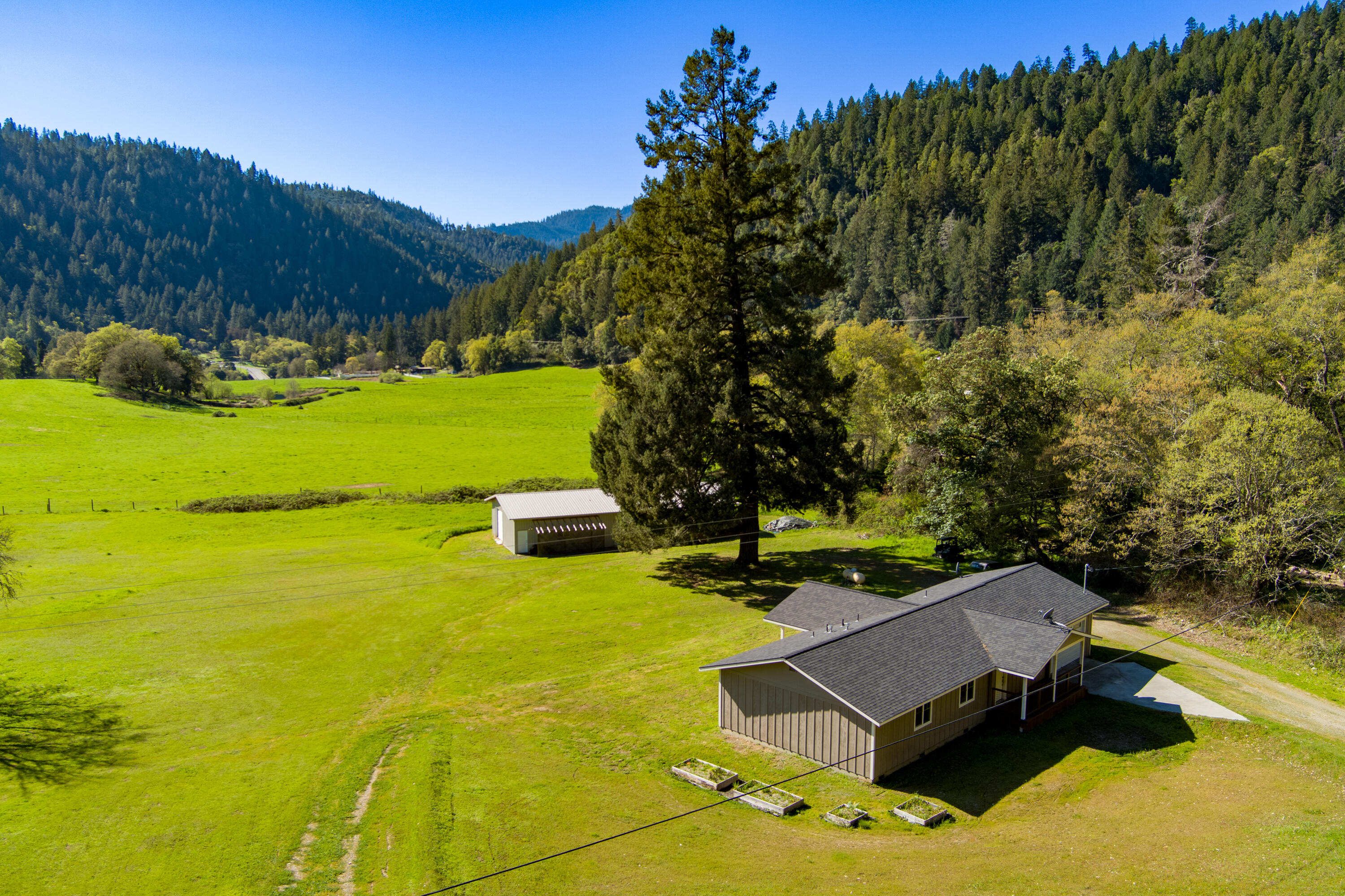 162 Cherry Tree Lane