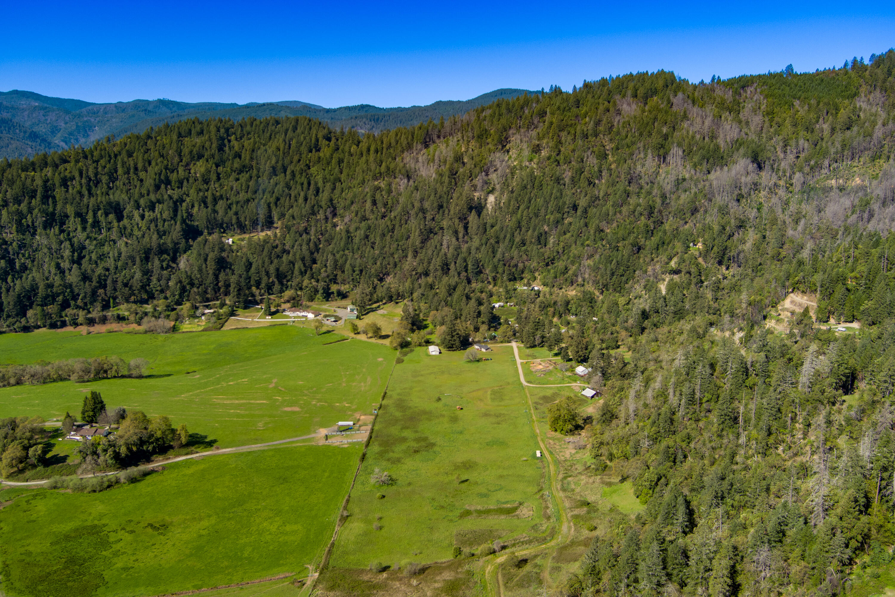 162 Cherry Tree Lane